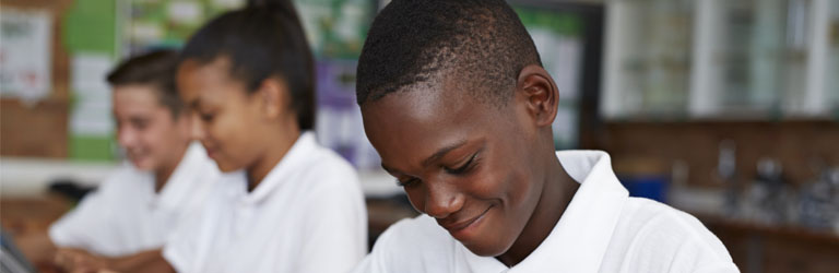 The adoption of new ways of learning